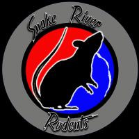 Snakeriverrodents